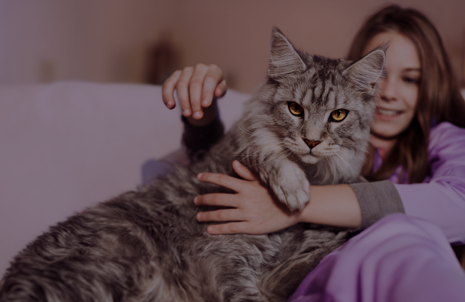 A happy owner with her purebred kitten
