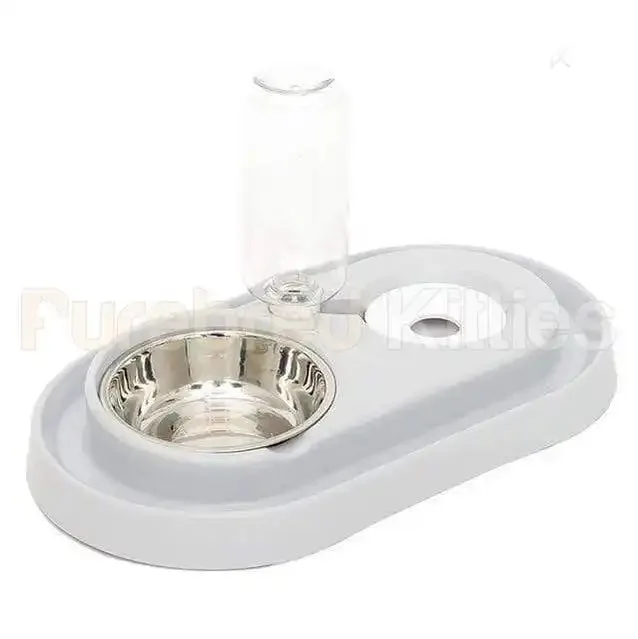 Purring Pet Water Fountain and Feeder