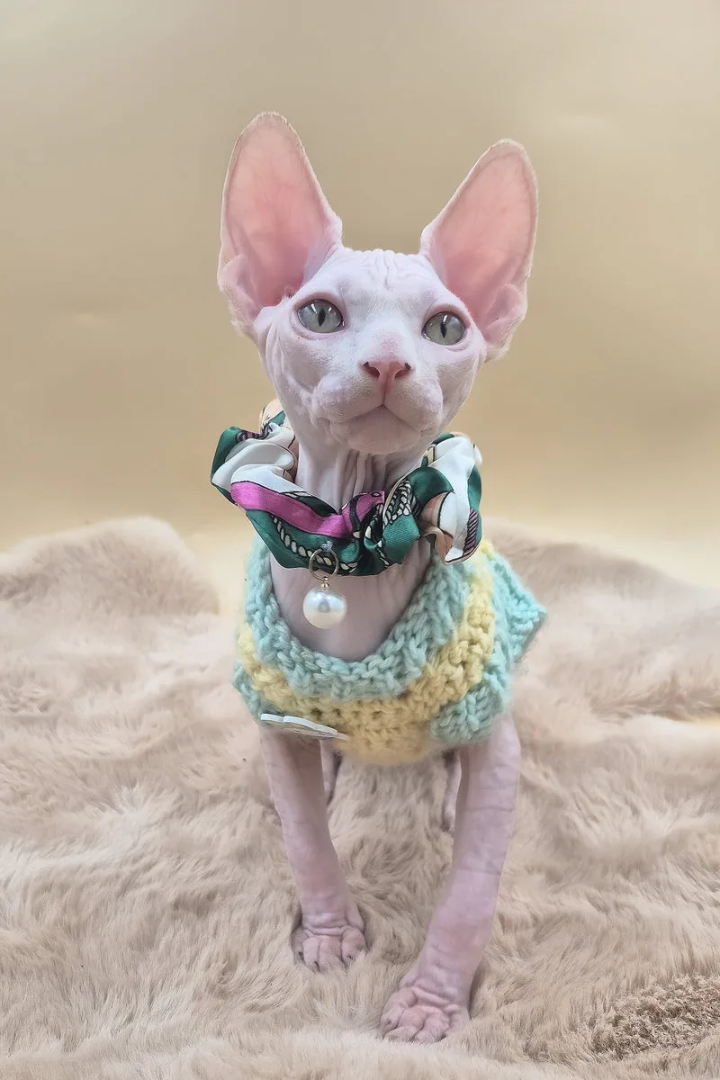Rory | Canadian Sphynx Kitten