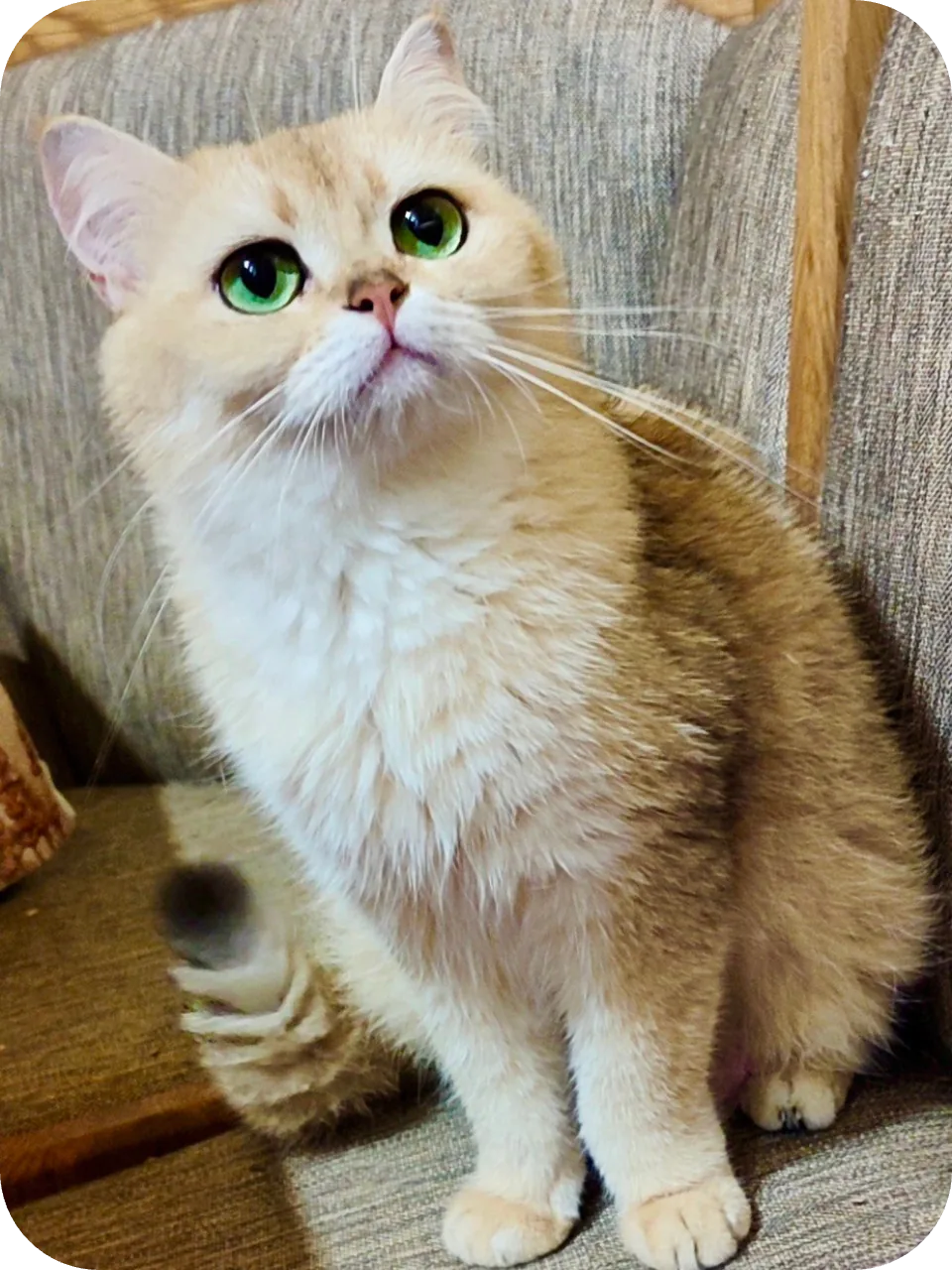 My Mom (Amina)