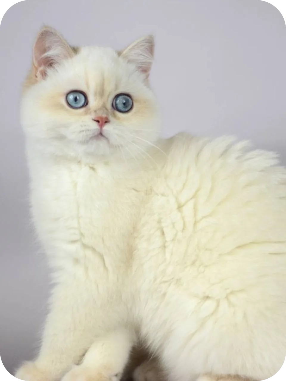 My Mom (Lily)