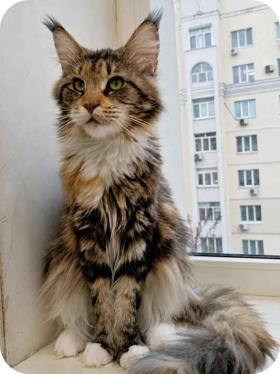 My Mom (Jessy)