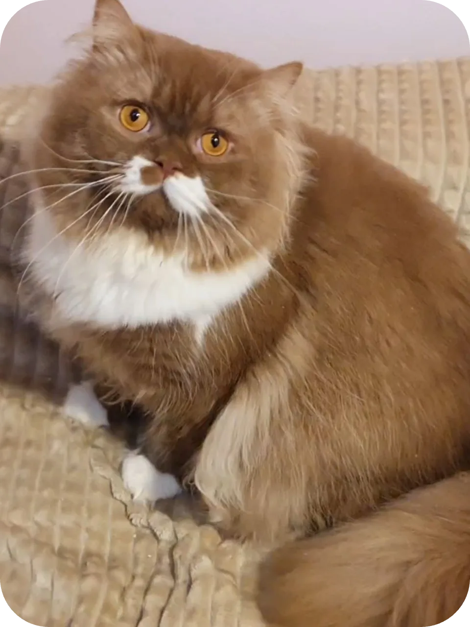 My Dad (Felix)