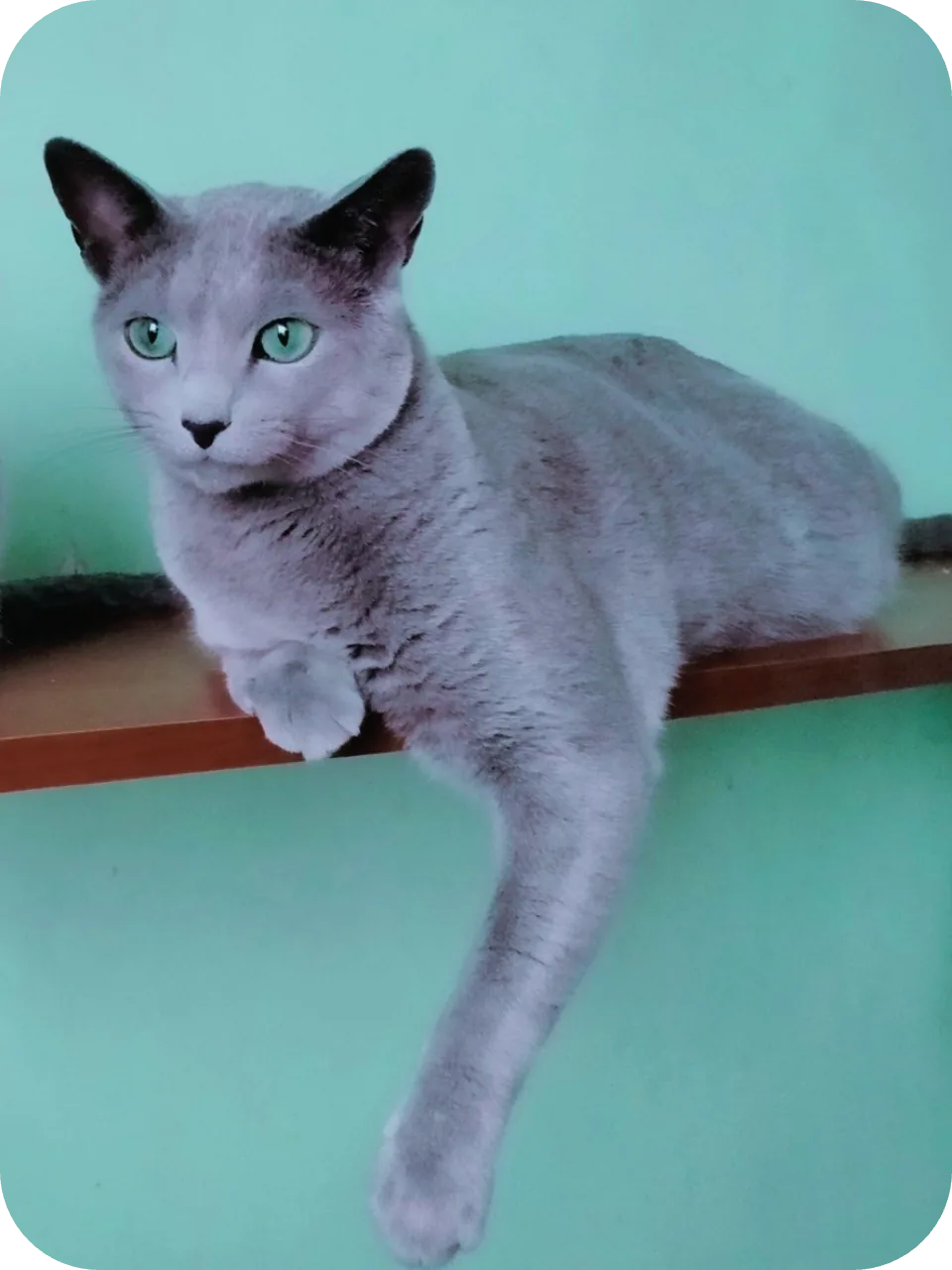 My Mom (Gracia)