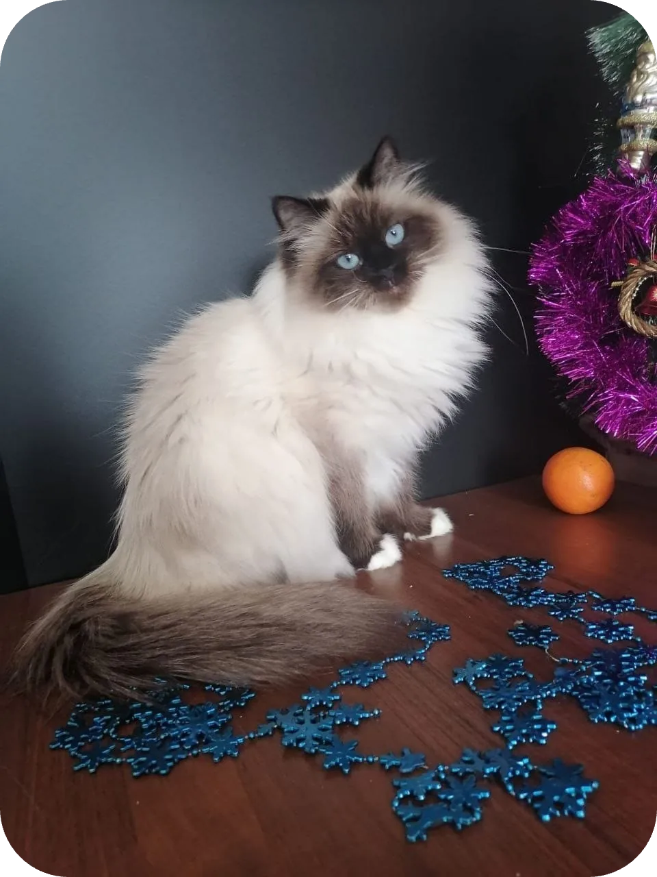 My Dad (Oskar)