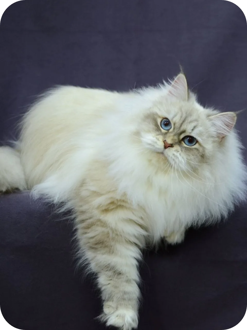 My Mom (Lila)