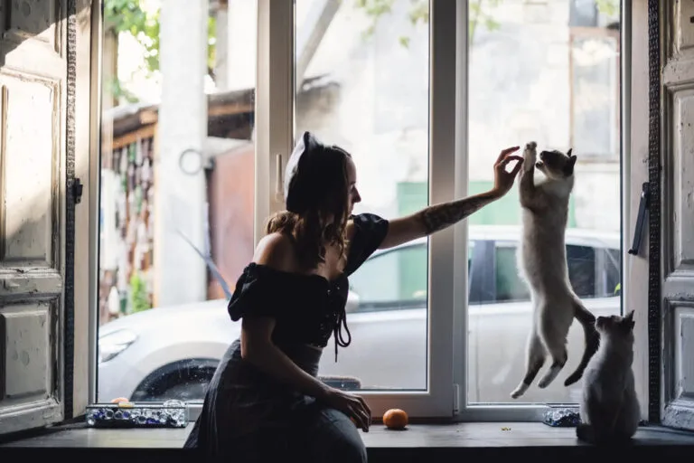Person enjoying time with two cats at an open window in a guide to perfect kittens.