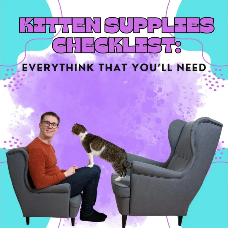 Kitten supplies checklist for your new purebred kitten, including a litter box.