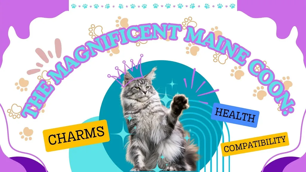 The Magnificent Maine Coon Kitten: Charms, Health, and Compatibility